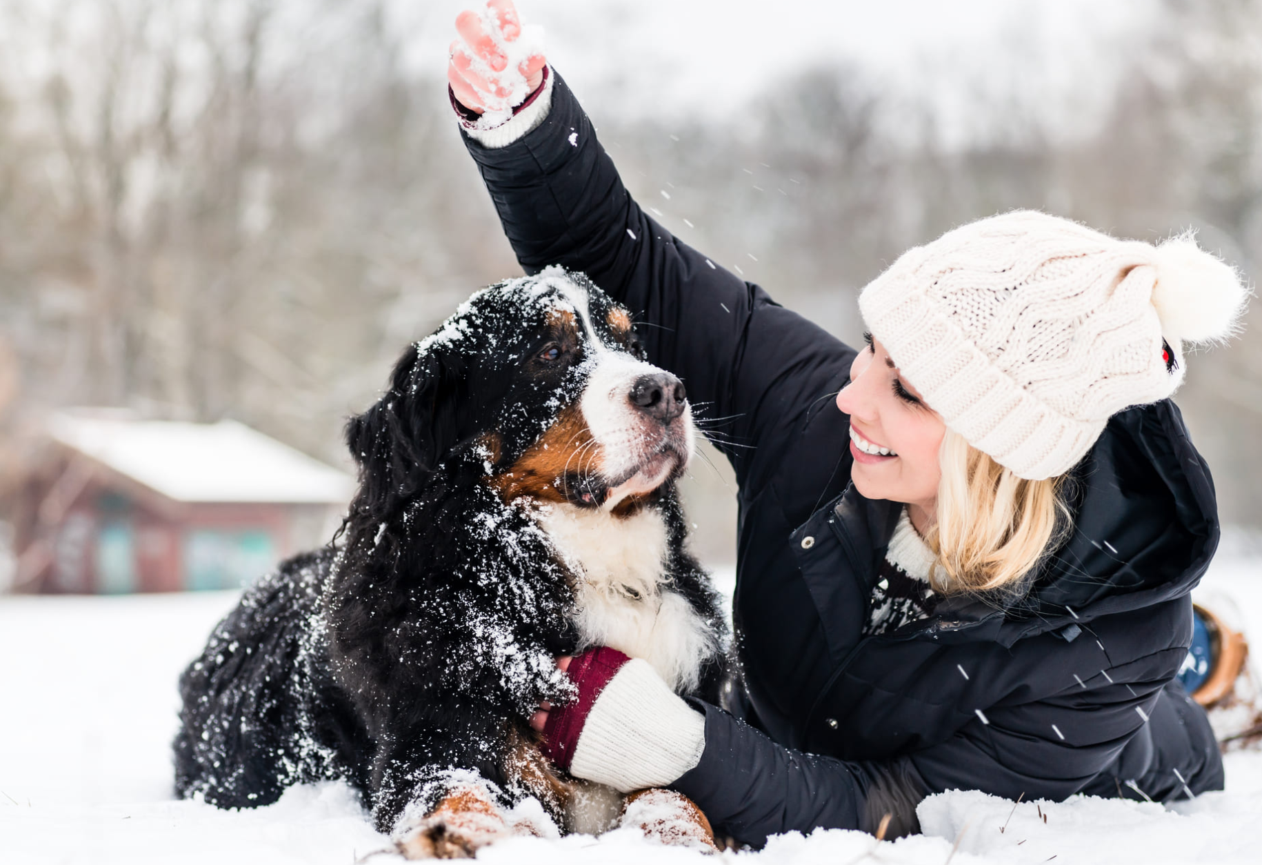 Winter Isn’t Gentle on Dog Paws: Here’s How to Protect Them