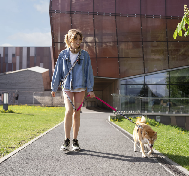 City Walks Are Tough on Your Dog’s Paws—Here’s What You Can Do