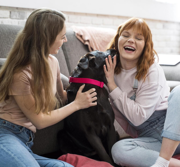 If Your Dog Could Talk, They’d Ask for This